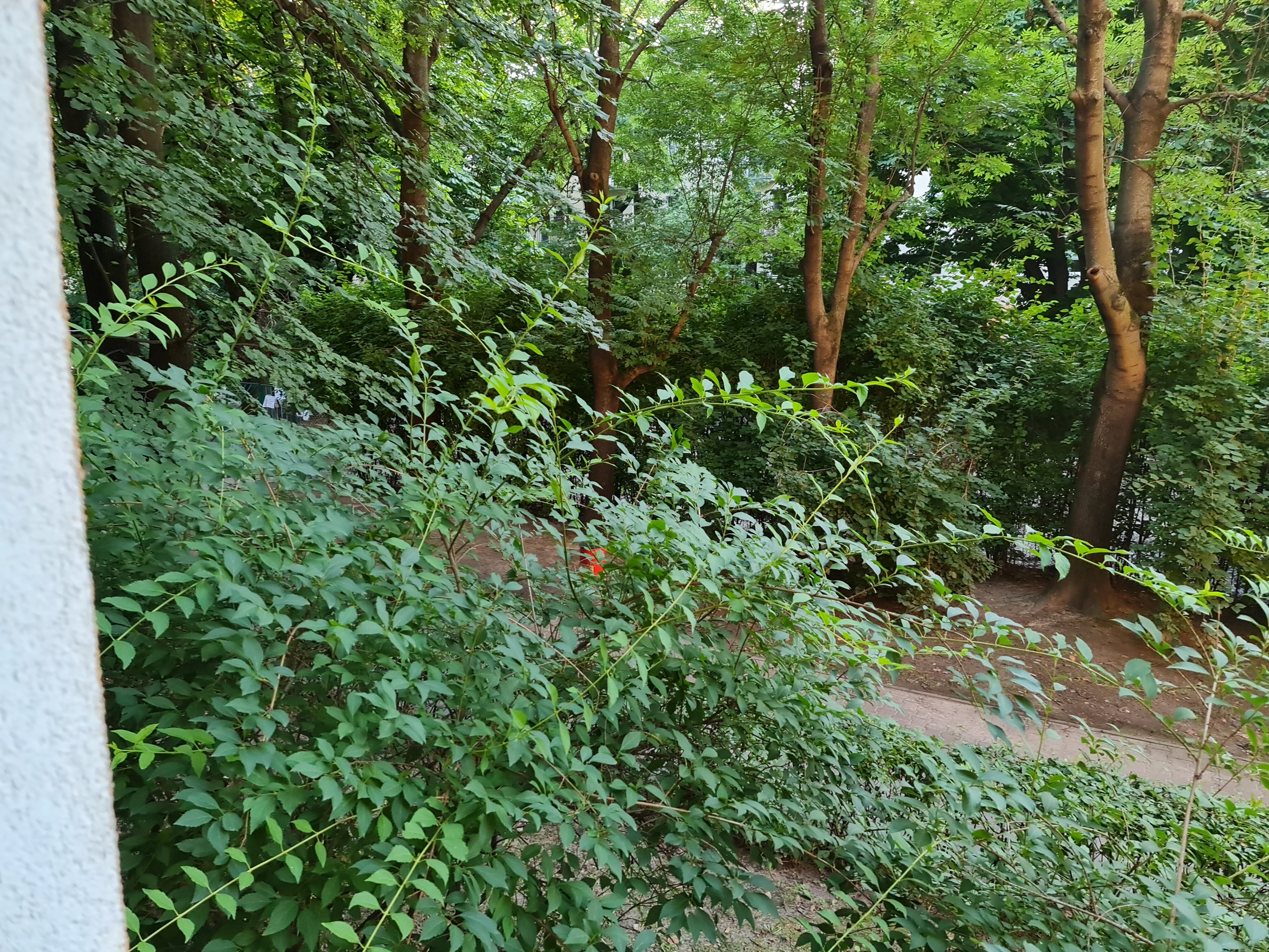 2 pokoje na Ochocie - Pruszkowska 2 pokoje na Ochocie - Pruszkowska